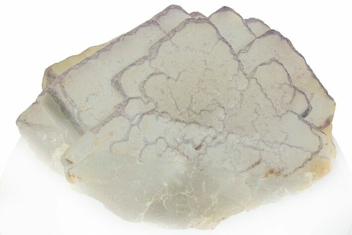 Purple Edge Fluorite - Qinglong Mine, China #295052